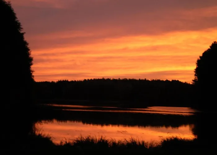 Ferienhäuser Waldidyll