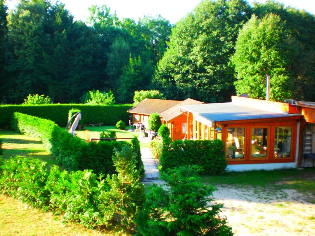 Waldidyll Ferienhaus