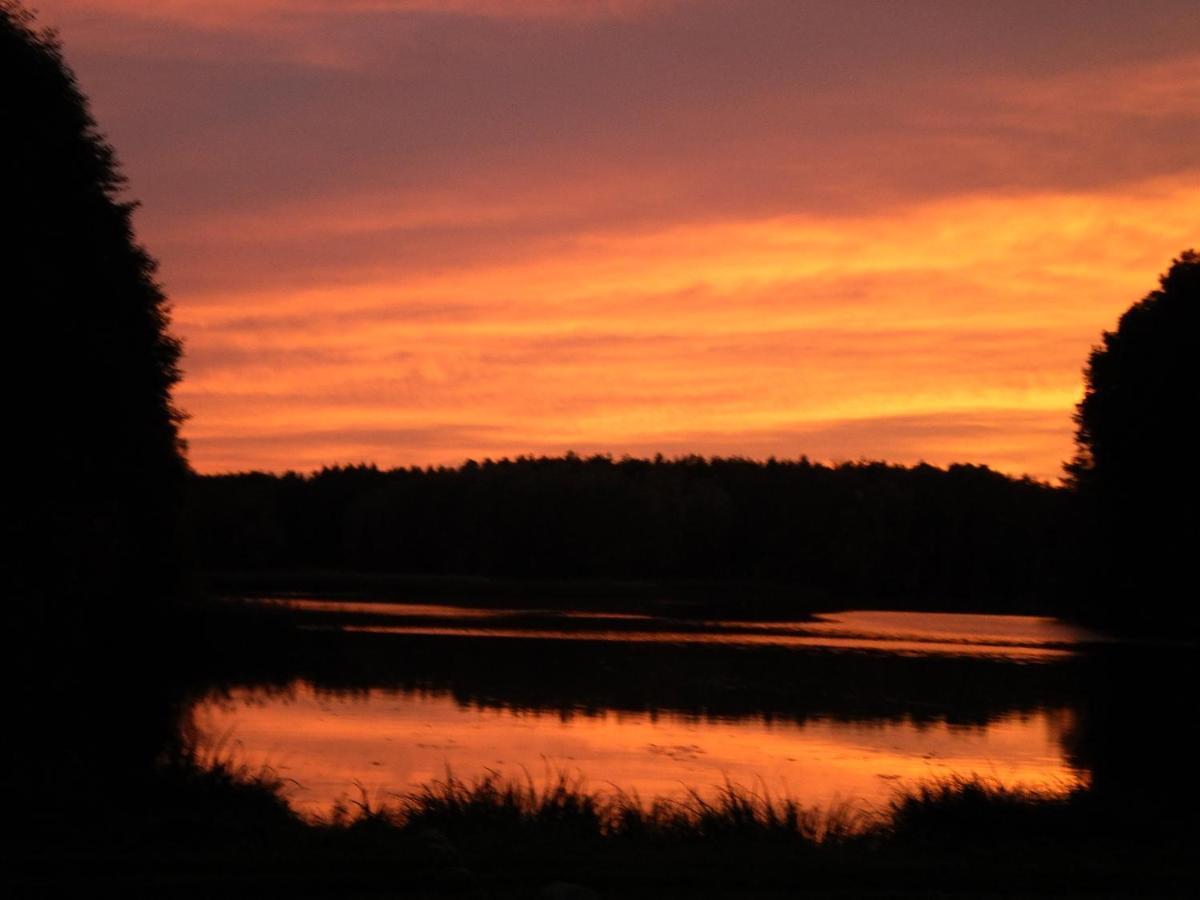 Ferienhaeuser Waldidyll