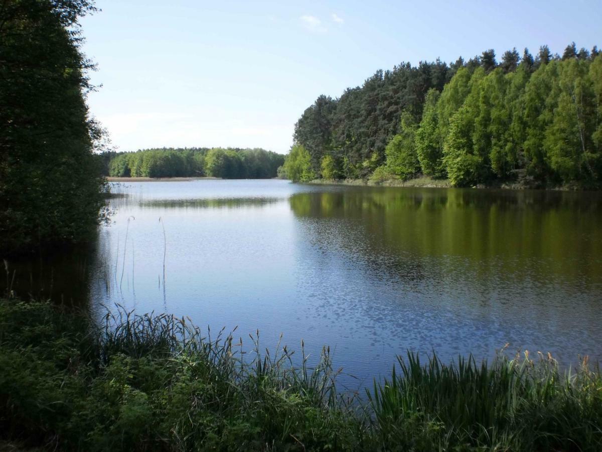 Ferienhaeuser Waldidyll *